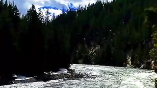 So Beautiful! Video by itscarteralexander.