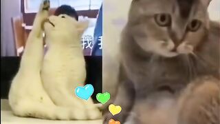 Где найти такую красотку