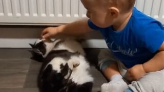 Kitten and Danilko: the boy sat on Nahal/Котик і Данилко: хлопчик сів на Нахала
