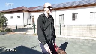 собака-поводырь помогает незрячим
