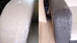 Сборник котиков