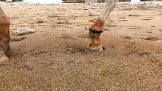 Good vibes happen on the tides | Beach Day (Turtle Beach)