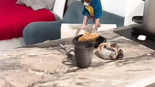 Кот постоянно подкармливает собаку