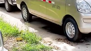 car mechanic simulator