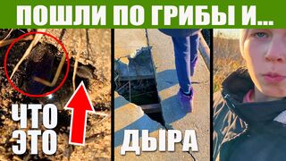 Поход В Лес По Грибы Маслята. Пчела Плотник и опасный мост