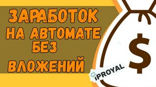 IPRoyal - заработок на полном автомате. Вывод от 1$