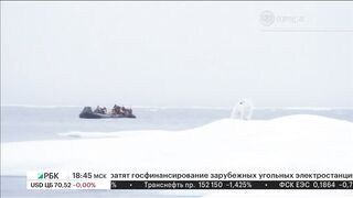 Россия стягивает войска к Украине. Запад напуган словами Путина. Игра...