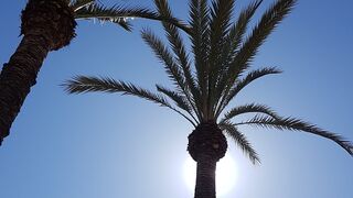 Alikante Sea Spain Travels