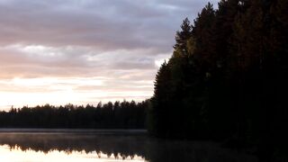 Природа Архангельской области