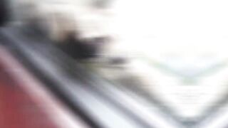 15 Случаев, Когда Животные Удивили Людей