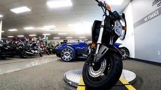 2022 Honda GROM - New Motorcycle For Sale - Milwaukee, WI