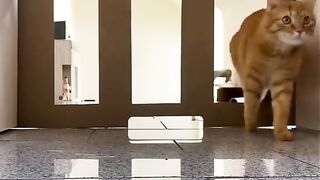 the ending ???? who won_ #shorts #viralshorts #viral