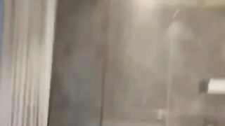 Cute Cats And Dogs Video ????Funniest Cats And Dogs ???? Animals Videos