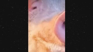 18 minutes of laughter