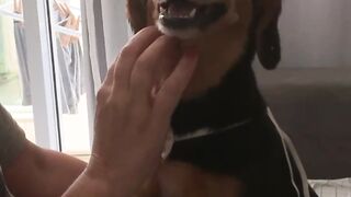 Hey humana! Não pare de fazer carinho!