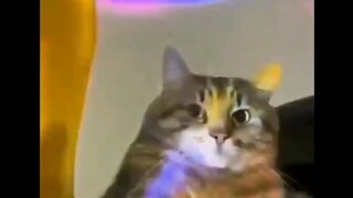 the story of an introvert partying with his friends