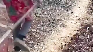 Funny videos from Tik Tok