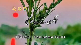 Ankhoon say Roya na gya