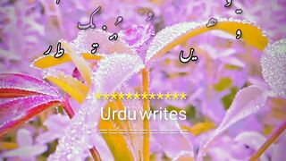 Surah albaqrah verses 226-228 urdu translation.Quran video.