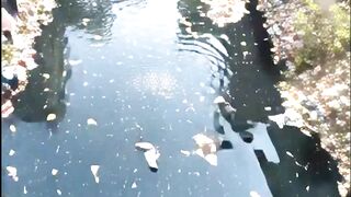 Drain Cleanup - Drainage Reform - Ground-Level Infrastructure Transformation