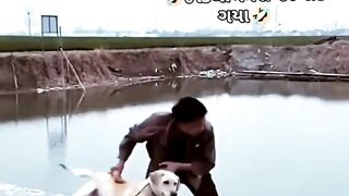 Funny videos 819
