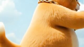 Ai animated cat video