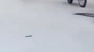 Funny videos 823
