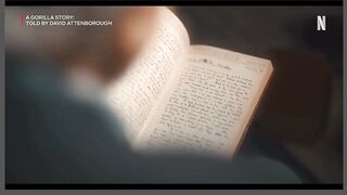 A Gorilla Story: Told by David Attenborough