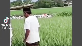 Funny Video no.36