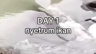 Day 1 nyetrum ikan di sungai.