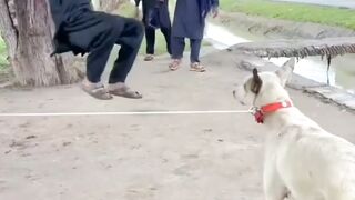 Funny video ???????? 67