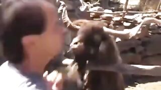 Funny videos 826