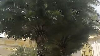 帕格兰赌场注册网址【676996.tv】