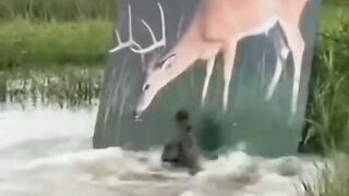 Funny videos 829