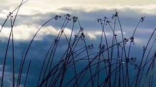 Beautiful nature 296