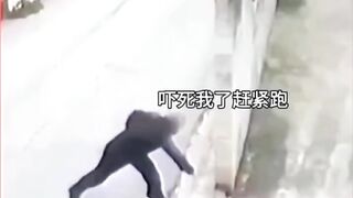 Funny videos 834