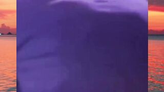 waduh Presiden Trump Di serang di Gedung Putih