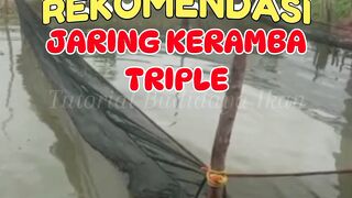 Rekomendasi KERAMBA untuk budidaya lele system JARING