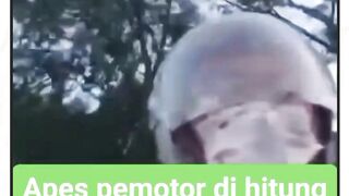 Apes pemotor di hitung tersiram adonan semen