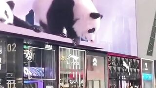 You've never seen an ad like this!
