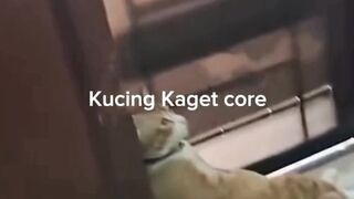natural banget kaget nya