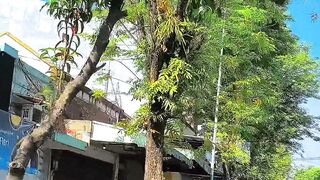 ketika kopimu terasa pait, yuk apa kae? tulung terusno aku lali.. #senin #jalan #purworejo #viral