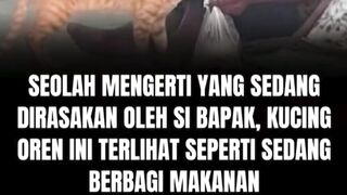 KUCING BERBAGI MAKANAN PADA MANUSIA