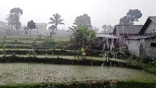Rain on the edge of the house - ASMR