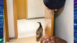 ITU LOH ORANGNYA DI PINTU CINGGG