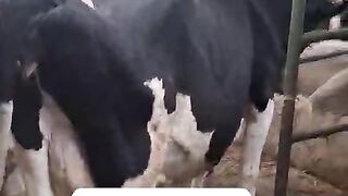 How to Join illuminati agent in uganda+256776963507/0741506136