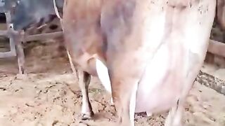 Way to Join illuminati agent in uganda+256776963507/0741506136