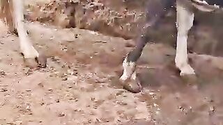 Free Illuminati agent brotherhood in uganda call+256779696761/0705146946