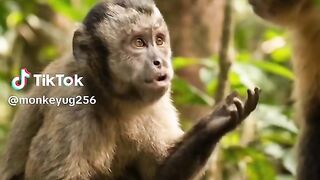 Illuminati group of agent in Uganda numbers +256751758369/0780588288