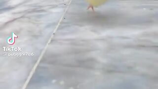 Funny Seen 17